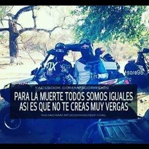 Meet your Posher, Ricardo